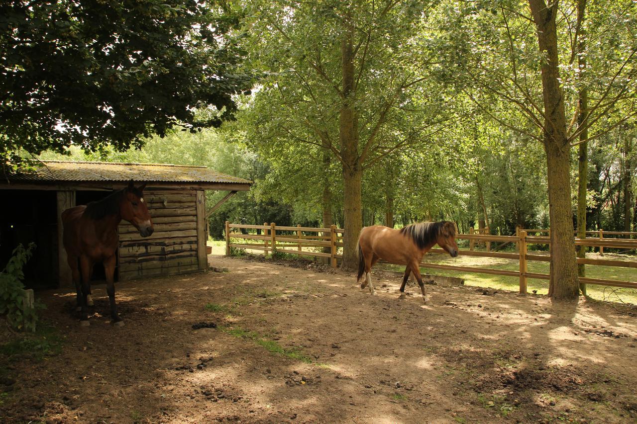 Dotter 17 Bed & Breakfast