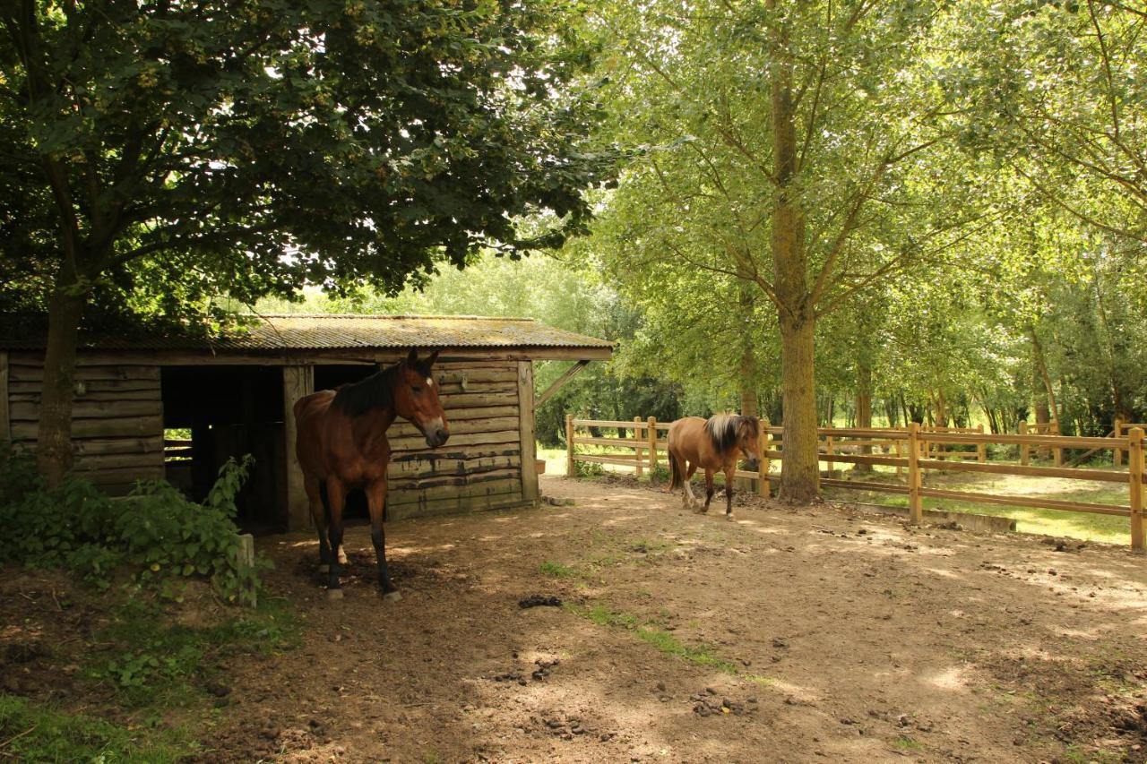 Bed & Breakfast Dotter 17 3*